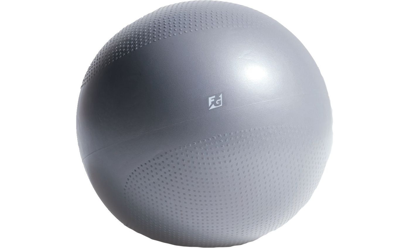 Fitness Gear Weighted Stability Ball Dick s Sporting Goods