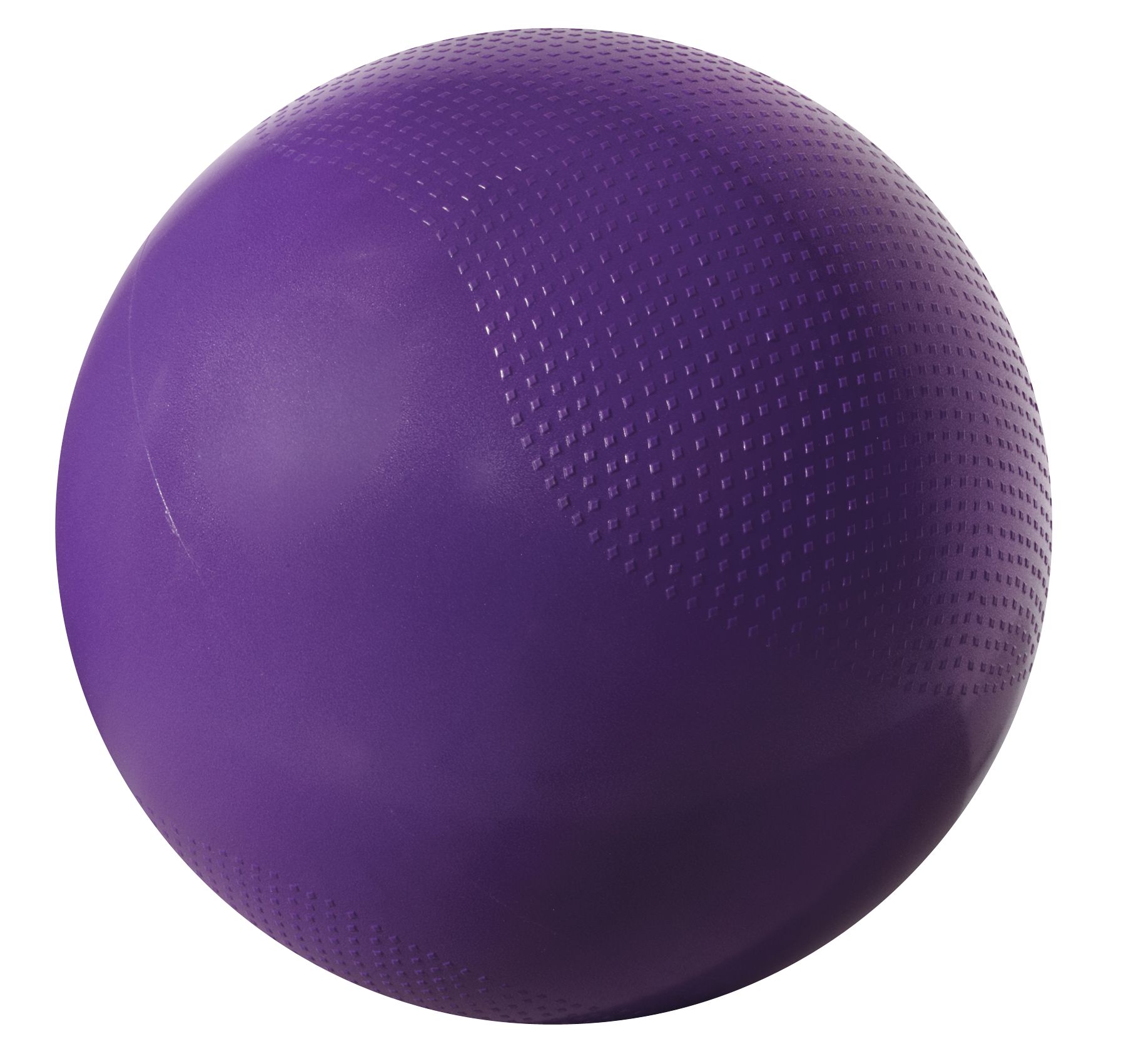 fitness gear weighted stability ball