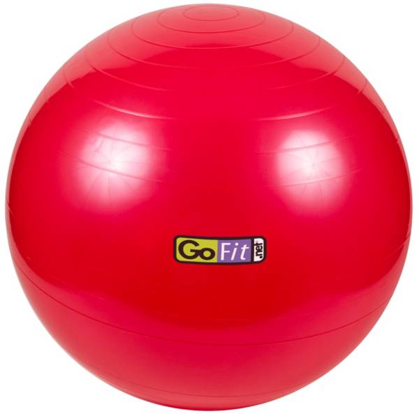 SmartSport Premium Exercise Ball (55 cm)