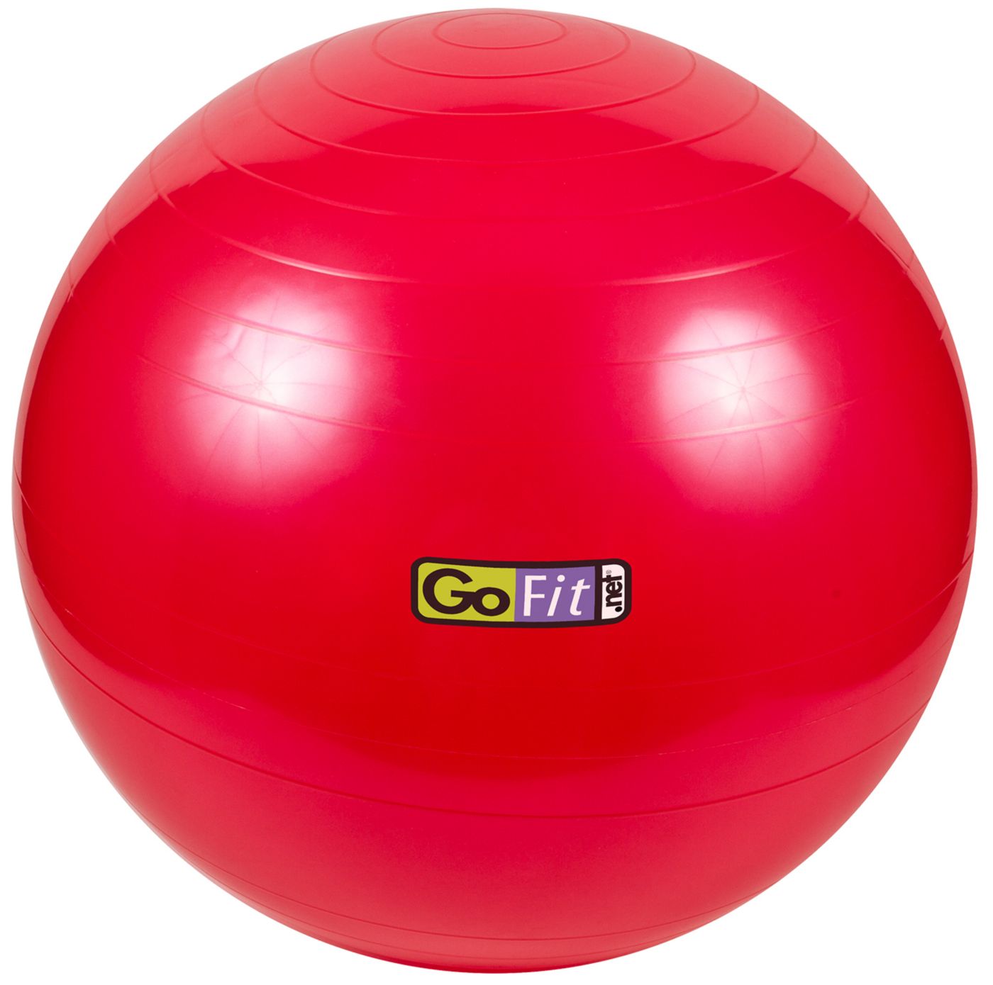 GoFit 55 cm Exercise Ball Dick s Sporting Goods