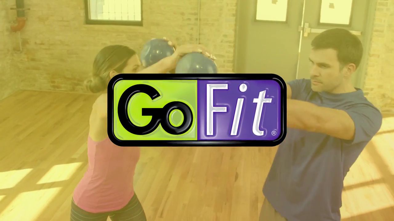 GoFit Ultimate ProGym product
