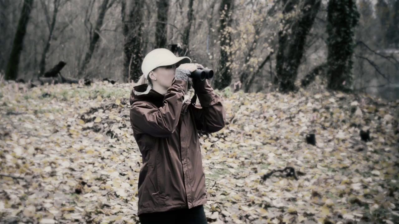 nikon prostaff binoculars review