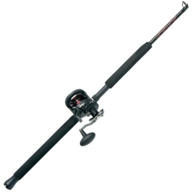 sorry, PENN Fishing  Warfare Star Drag Conventional Combo is currently out of stock
