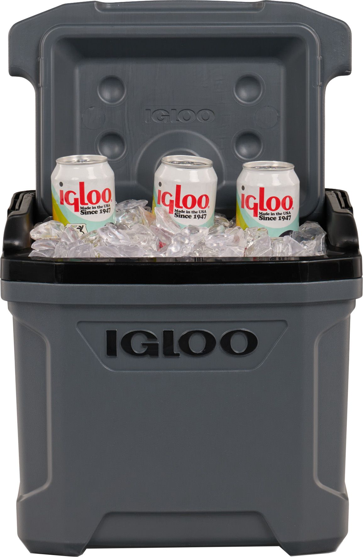 Igloo 16 Quart Latitude Cooler product image