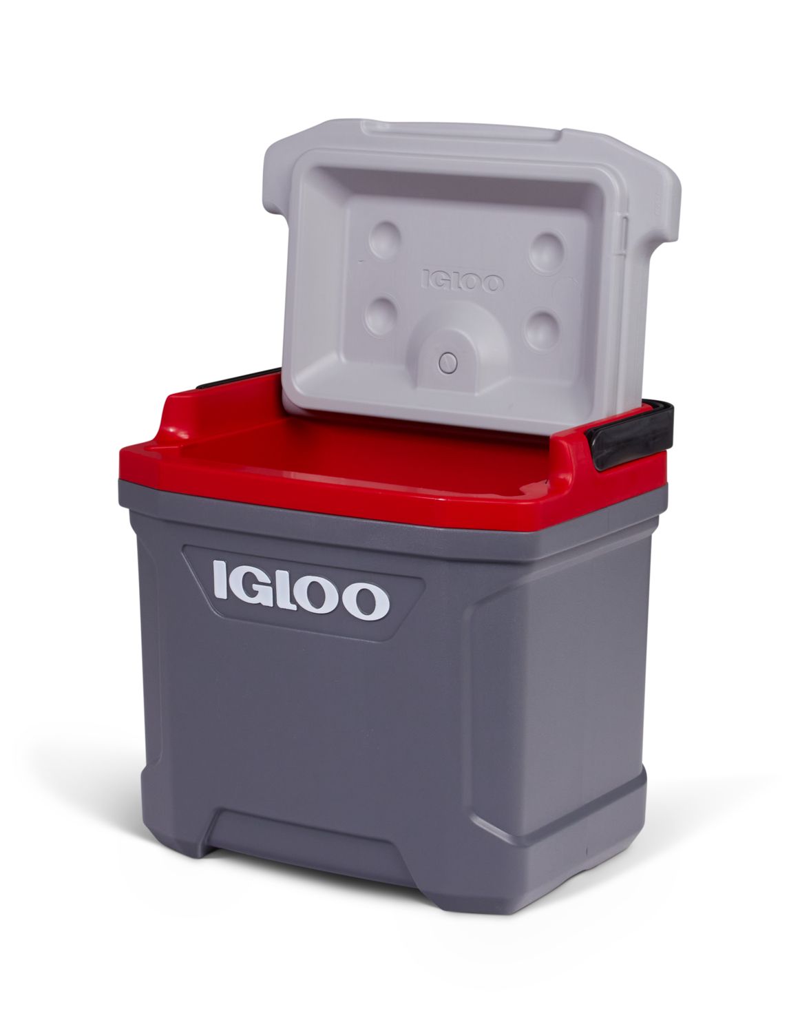 Igloo 16 Quart Latitude Cooler product image