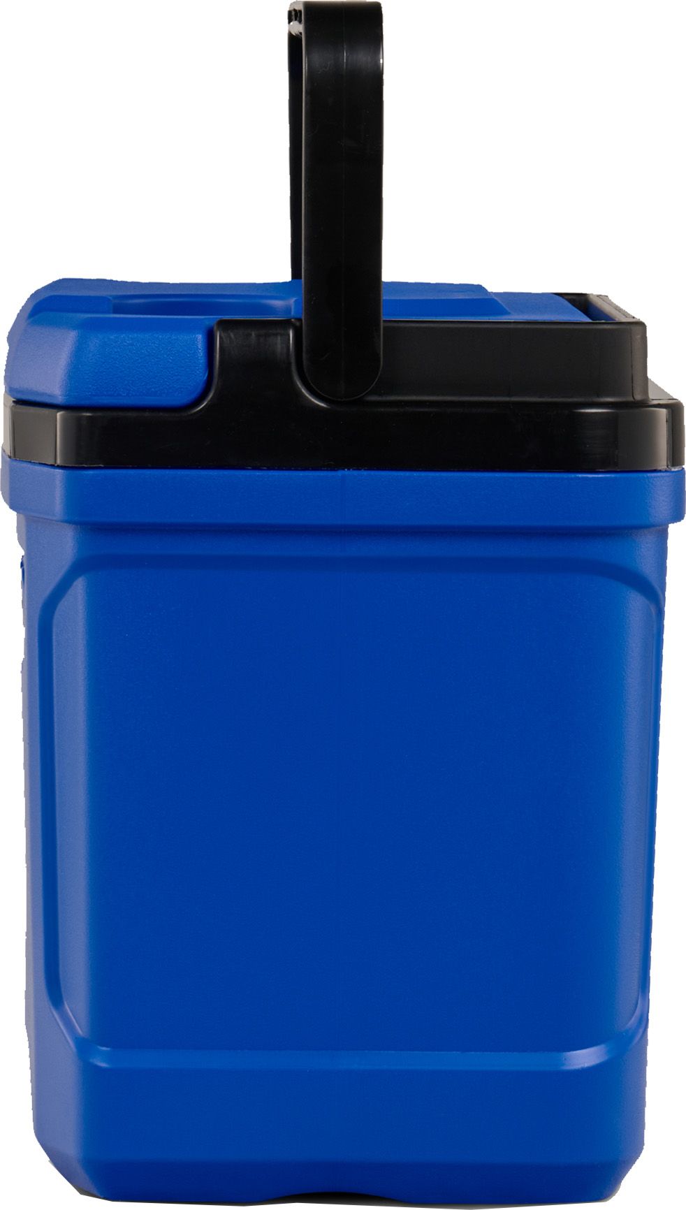 Igloo 16 Quart Latitude Cooler product image
