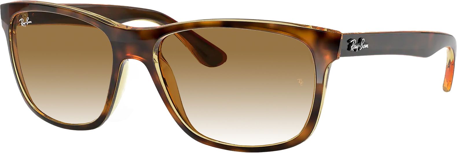 Ray-Ban Wayfarer Large Sunglasses product image