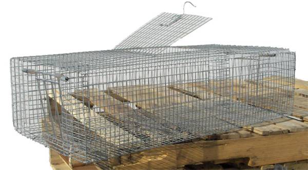 Scott Pet Small Double Door Pigeon Trap