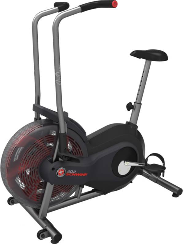 Schwinn Airdyne AD2 Upright Exercise Bike