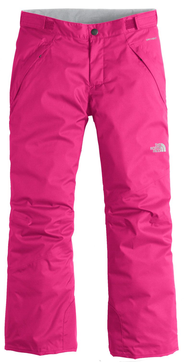 the north face freedom insulated mens ski pants