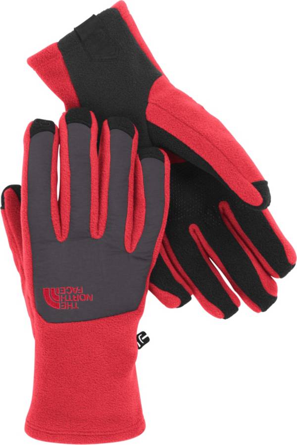 Перчатки the North face Etip Glove