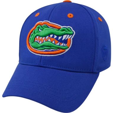 sorry, Top of the World Youth Florida Gators Blue Rookie Hat is currently out of stock