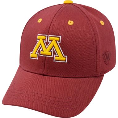 sorry, Top of the World Youth Minnesota Golden Gophers Maroon Rookie Hat is currently out of stock