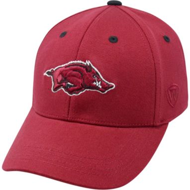 sorry, Top of the World Youth Arkansas Razorbacks Cardinal Rookie Hat is currently out of stock
