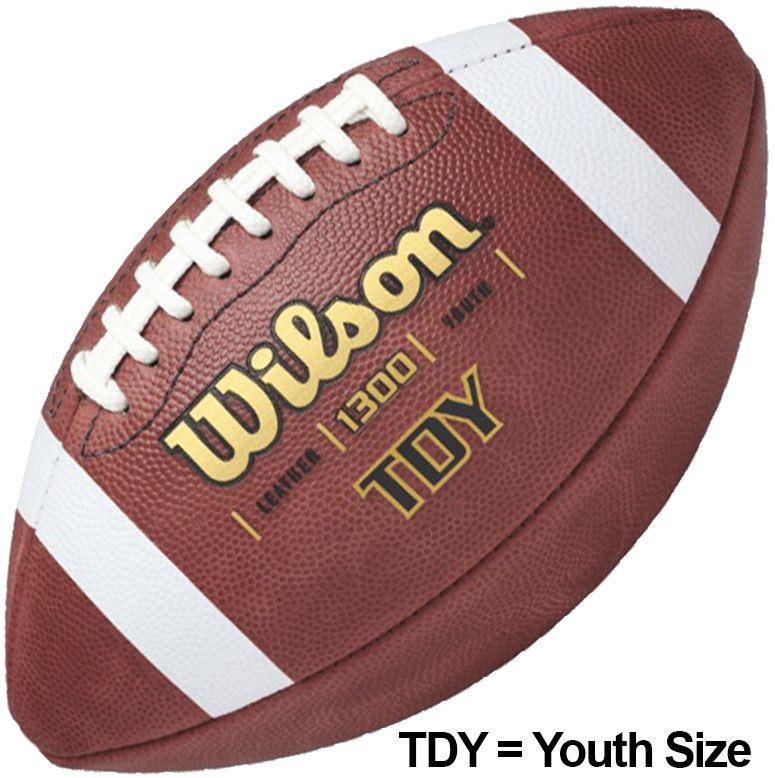 Wilson Traditional Football | DICK'S 