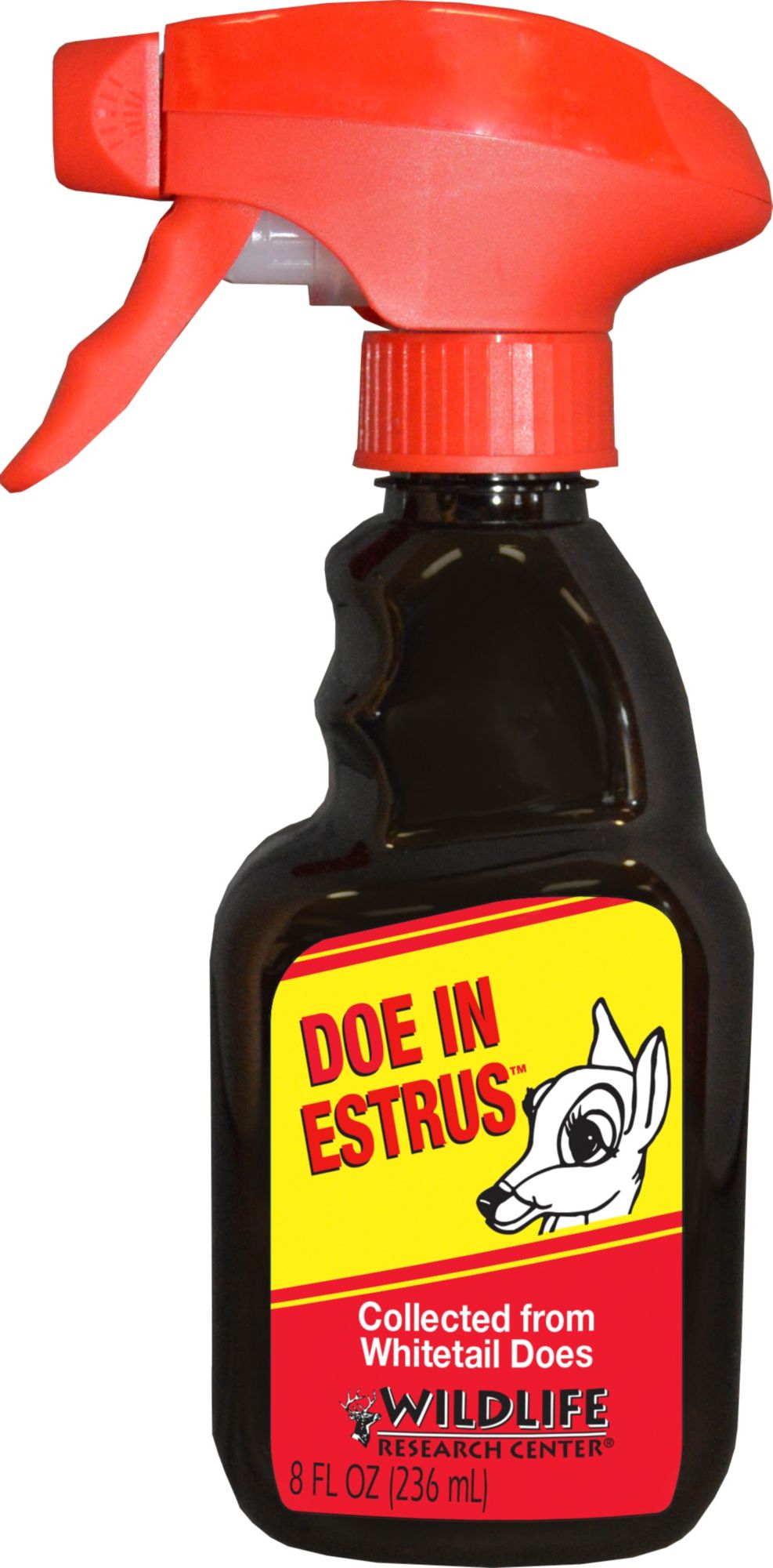 deer estrus