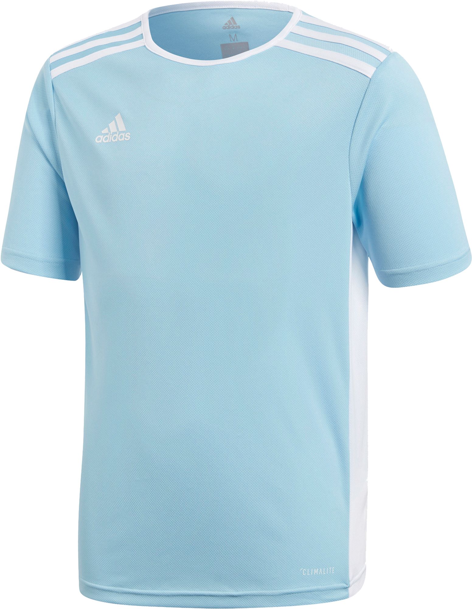 adidas entrada 18 jersey white