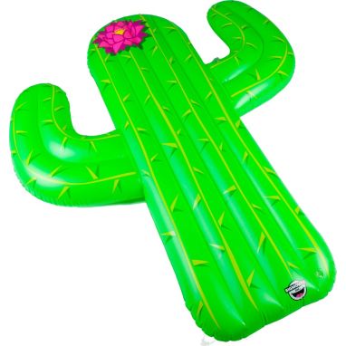 sorry, Big Mouth Giant Cactus Pool Float is currently out of stock