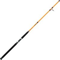 FT Surf Spinning Rod - 10' Length, 2 Piece Rod, 10-20 lb Line Rating, Mediu Power, Fast Action