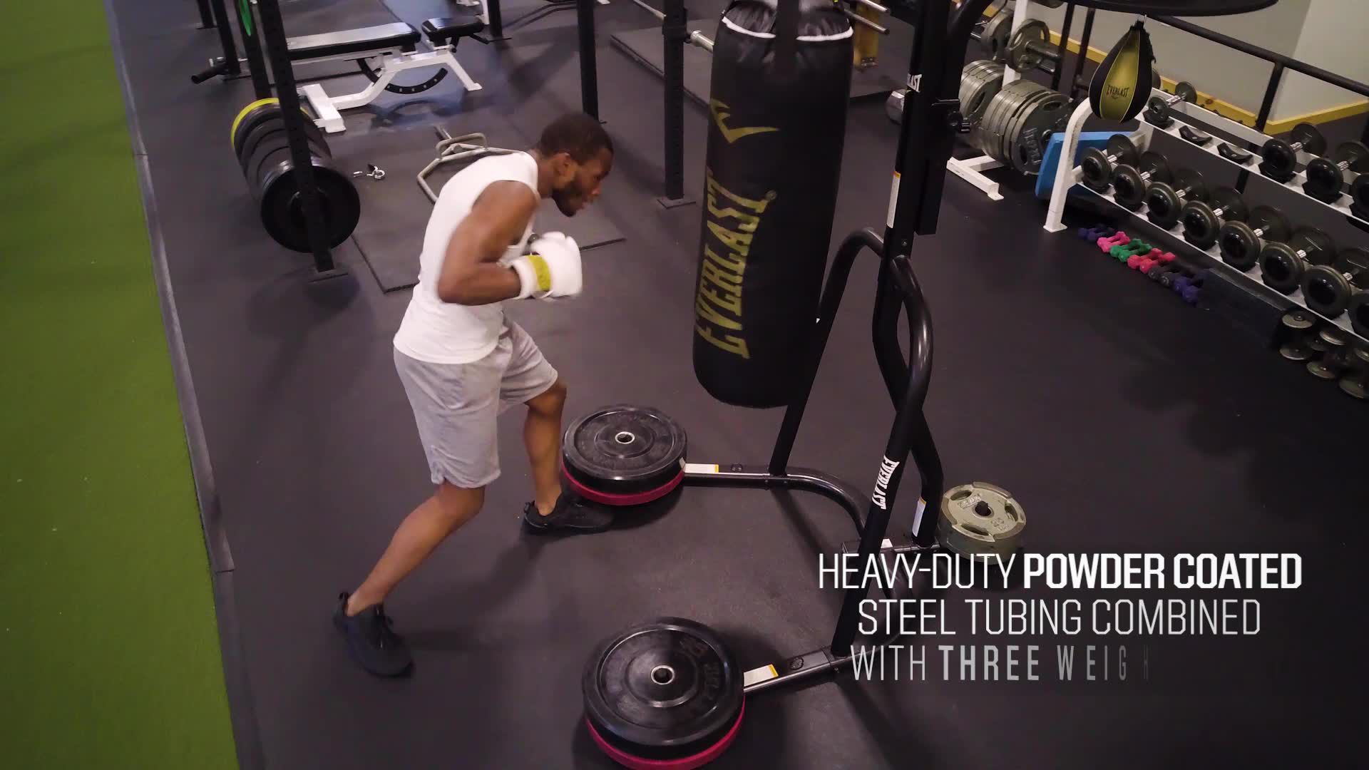 Everlast Powercore Dual Bag and Stand product