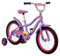 Schwinn 16 sale inch girl bike