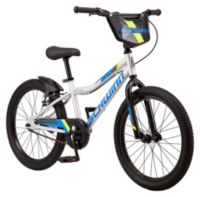 Schwinn Signature Boys' Fenite 20'' Bike | Dick's Sporting Goods