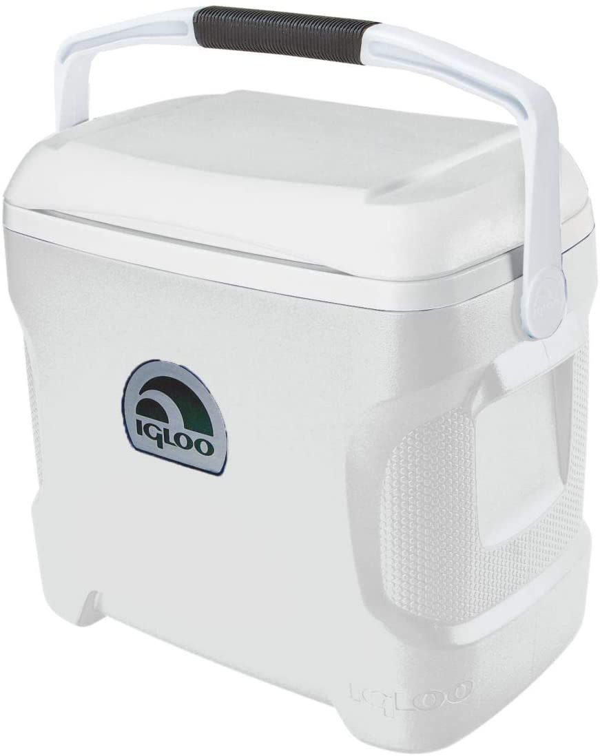 igloo contour 30 quart cooler