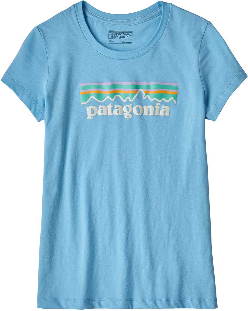 teal patagonia shirt