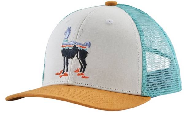 Patagonia Youth Trucker Hat product image