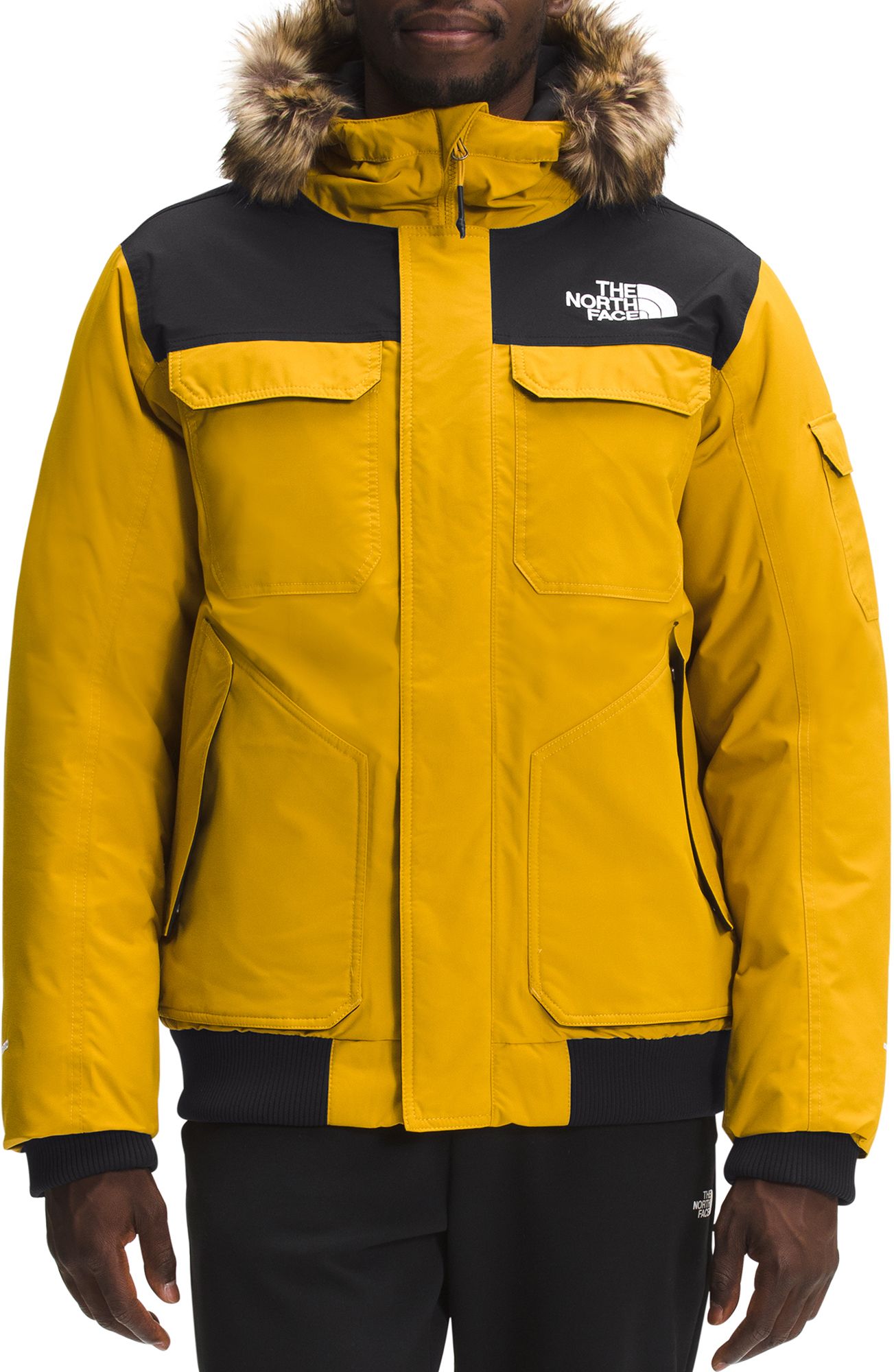 the north face jacket gotham