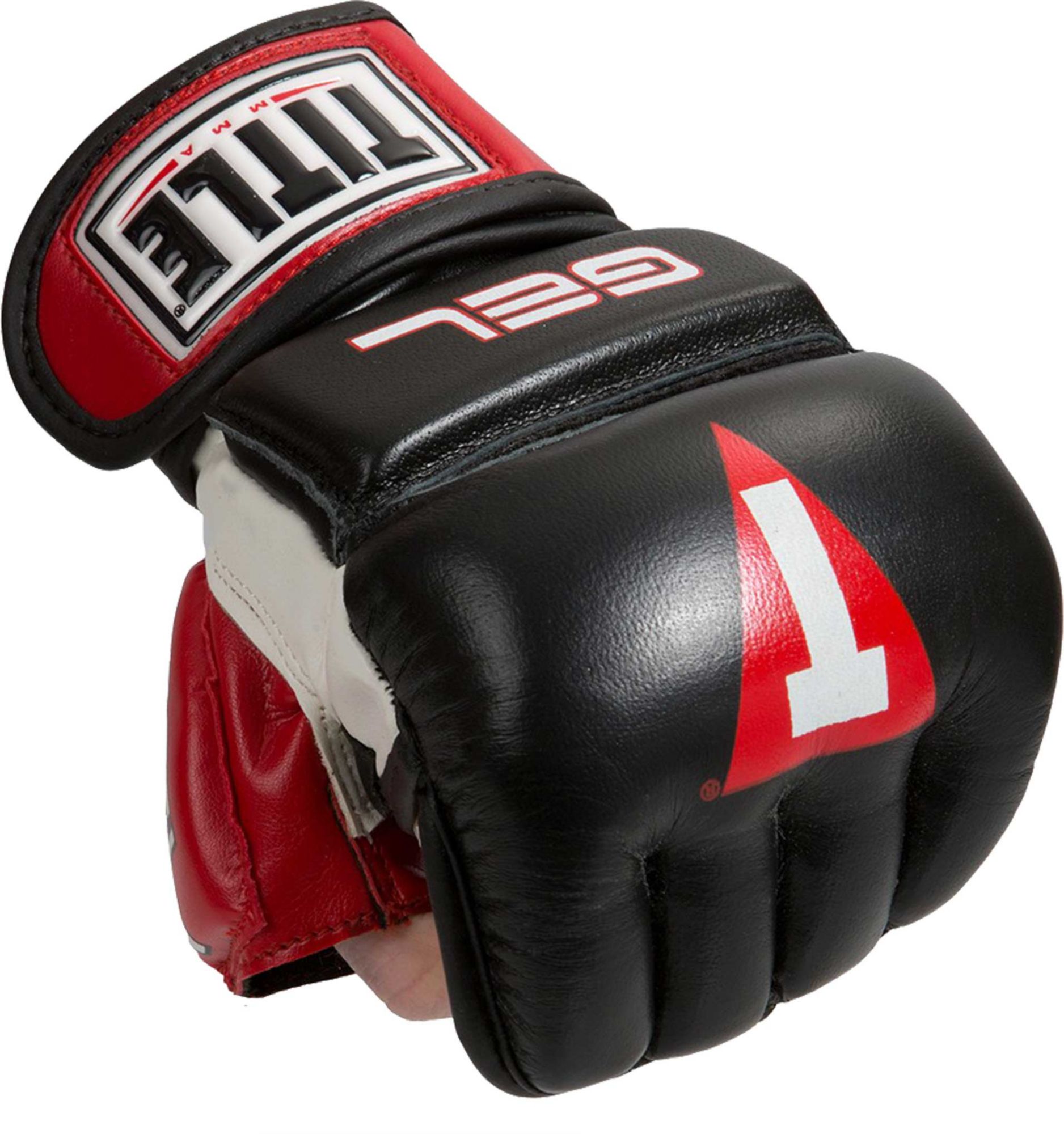 combat sports mma bag gloves