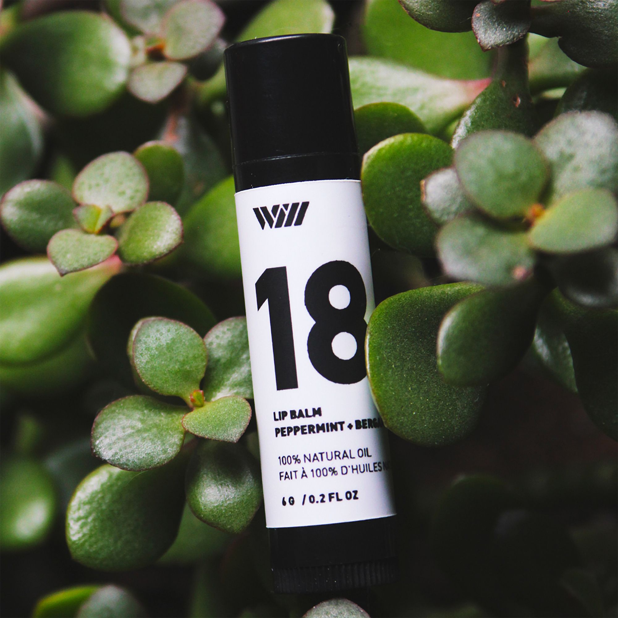 Way of Will 18 Peppermint + Bergamot Lip Balm product image