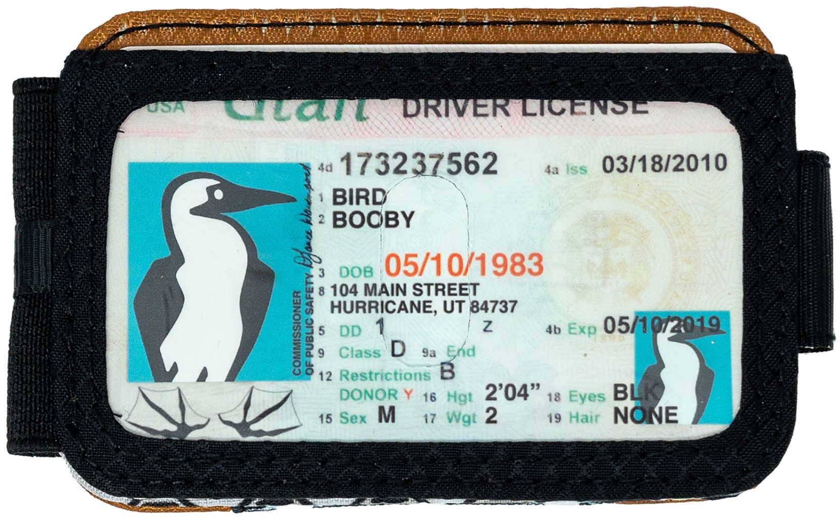 Chums Bandit Bi-Fold Wallet product image