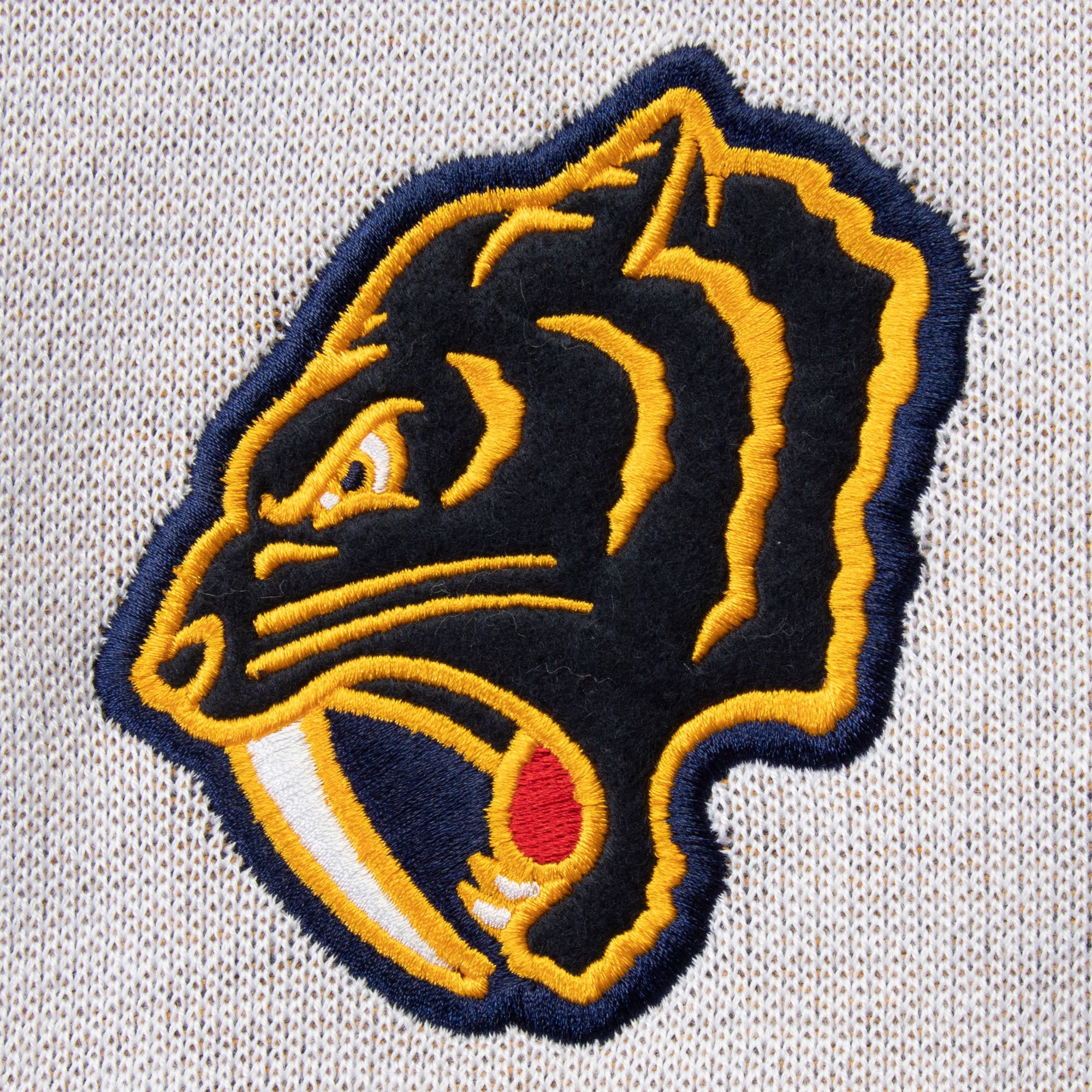 NHL 2020 Winter Classic Nashville Predators Scarf product image