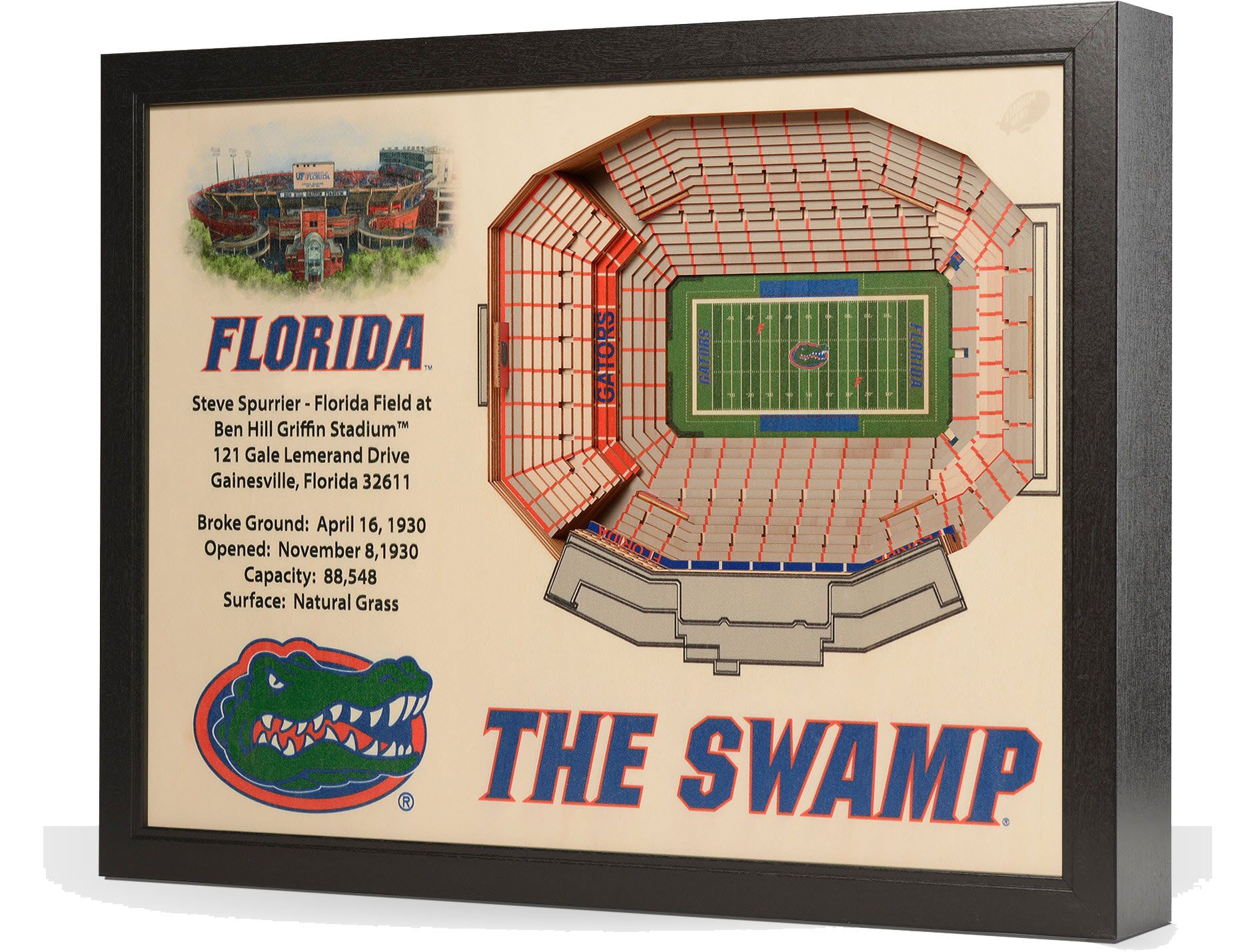 You the Fan Florida Gators 25-Layer StadiumViews 3D Wall Art