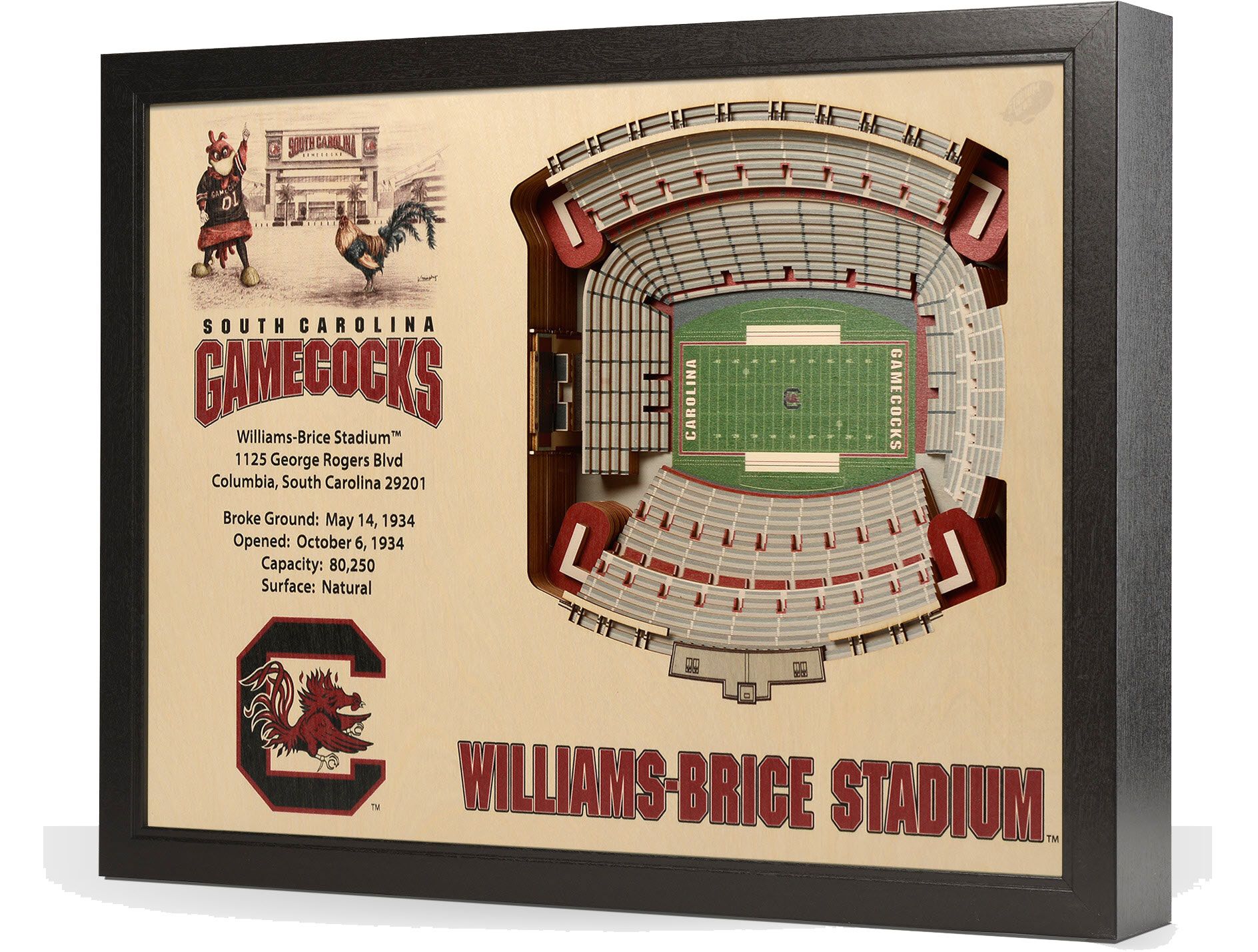 You the Fan South Carolina Gamecocks 25-Layer StadiumViews 3D Wall Art