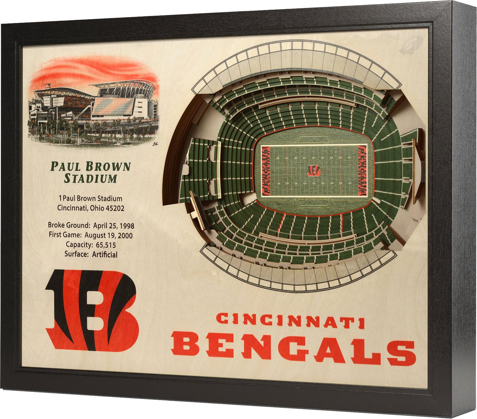 YouTheFan Cincinnati Bengals 25-Layer StadiumViews 3D Wall Art product image