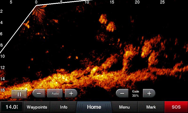 Garmin Panoptix LiveScope System-Floor Model product