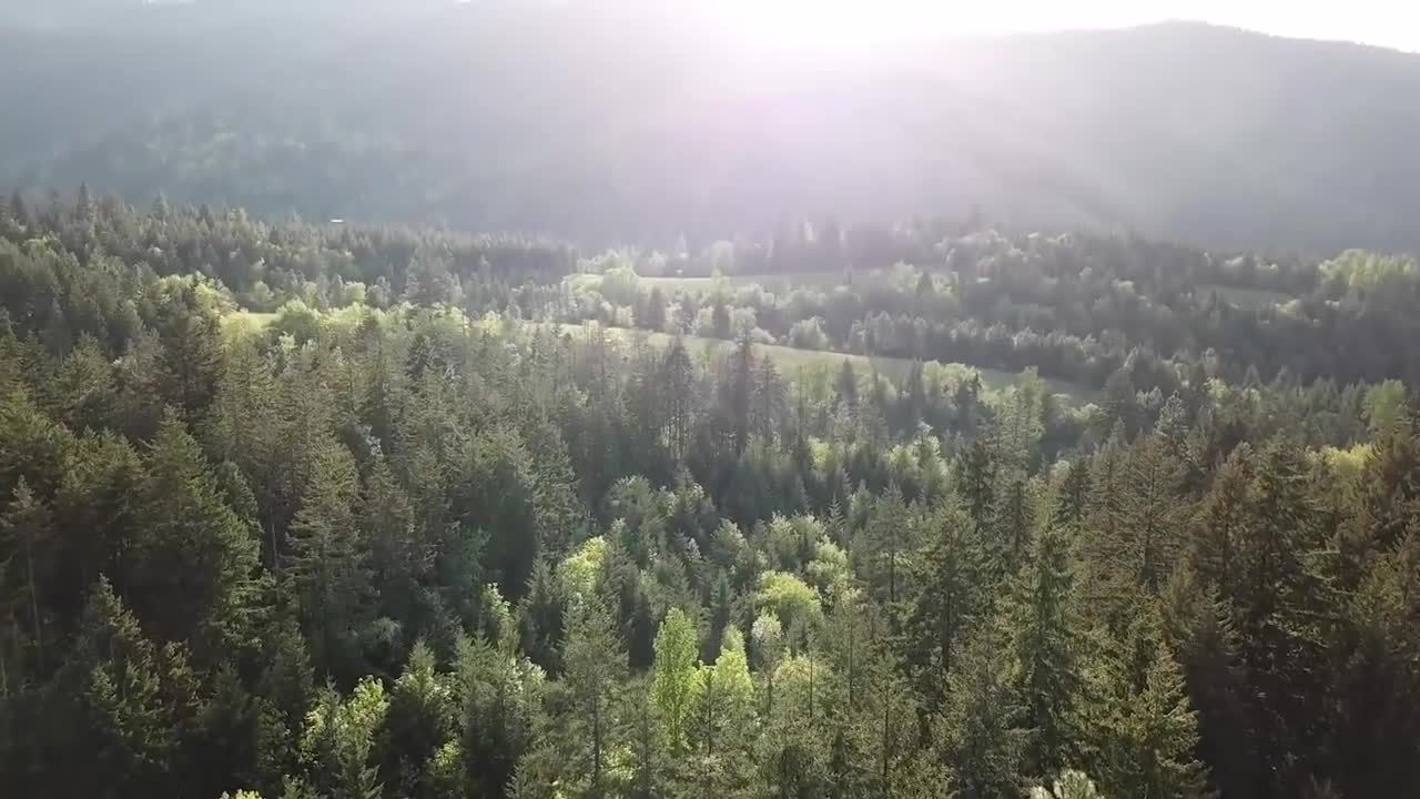 Hydro Flask 12 oz. Coffee Mug product