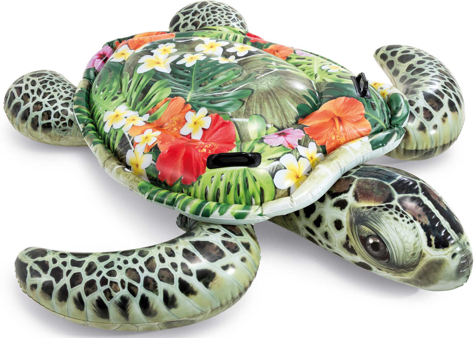inflatable turtle pool toy