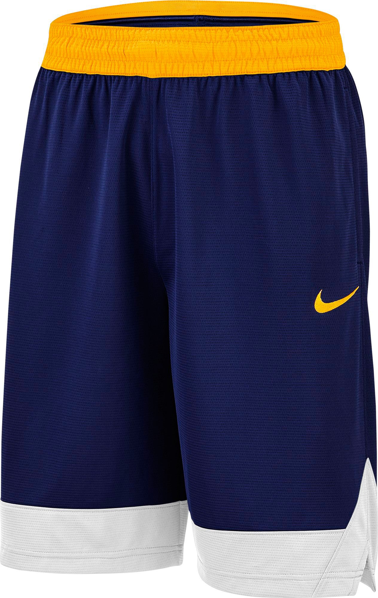 dick's sporting goods nike shorts