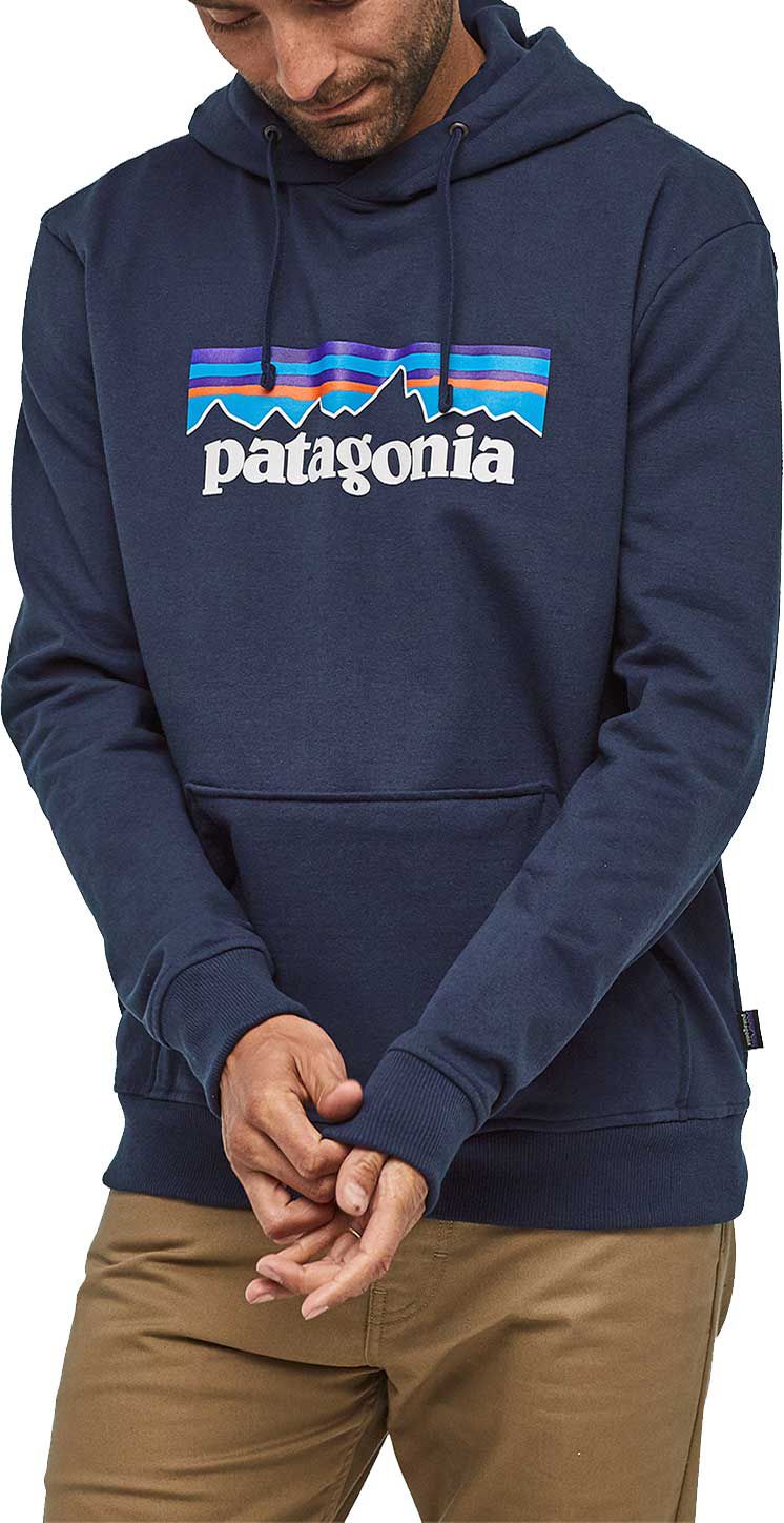 patagonia hoodie blue