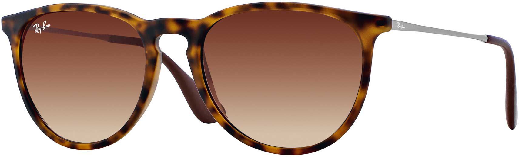 Ray-Ban Erika Classic Sunglasses product image