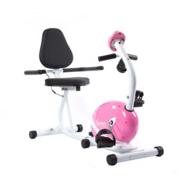 sorry, Sunny Health and Fitness Pink Magnetic Recumbent Bike is currently out of stock
