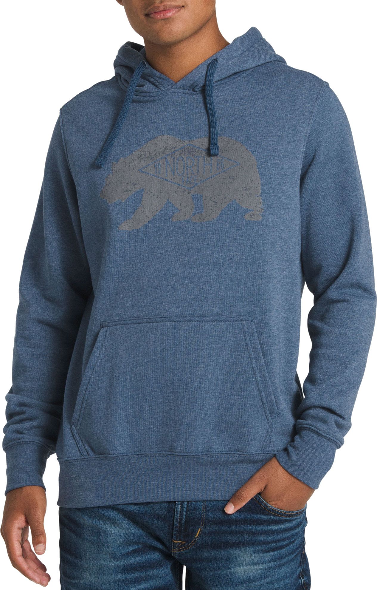 the north face bearitage hoodie