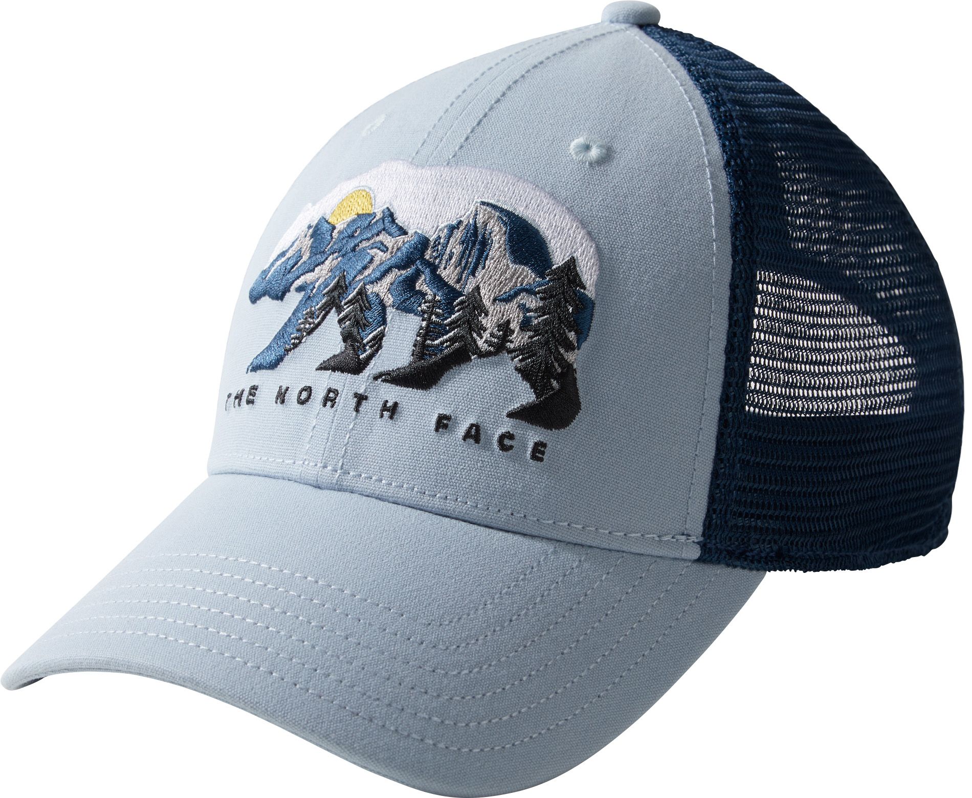 blue north face cap