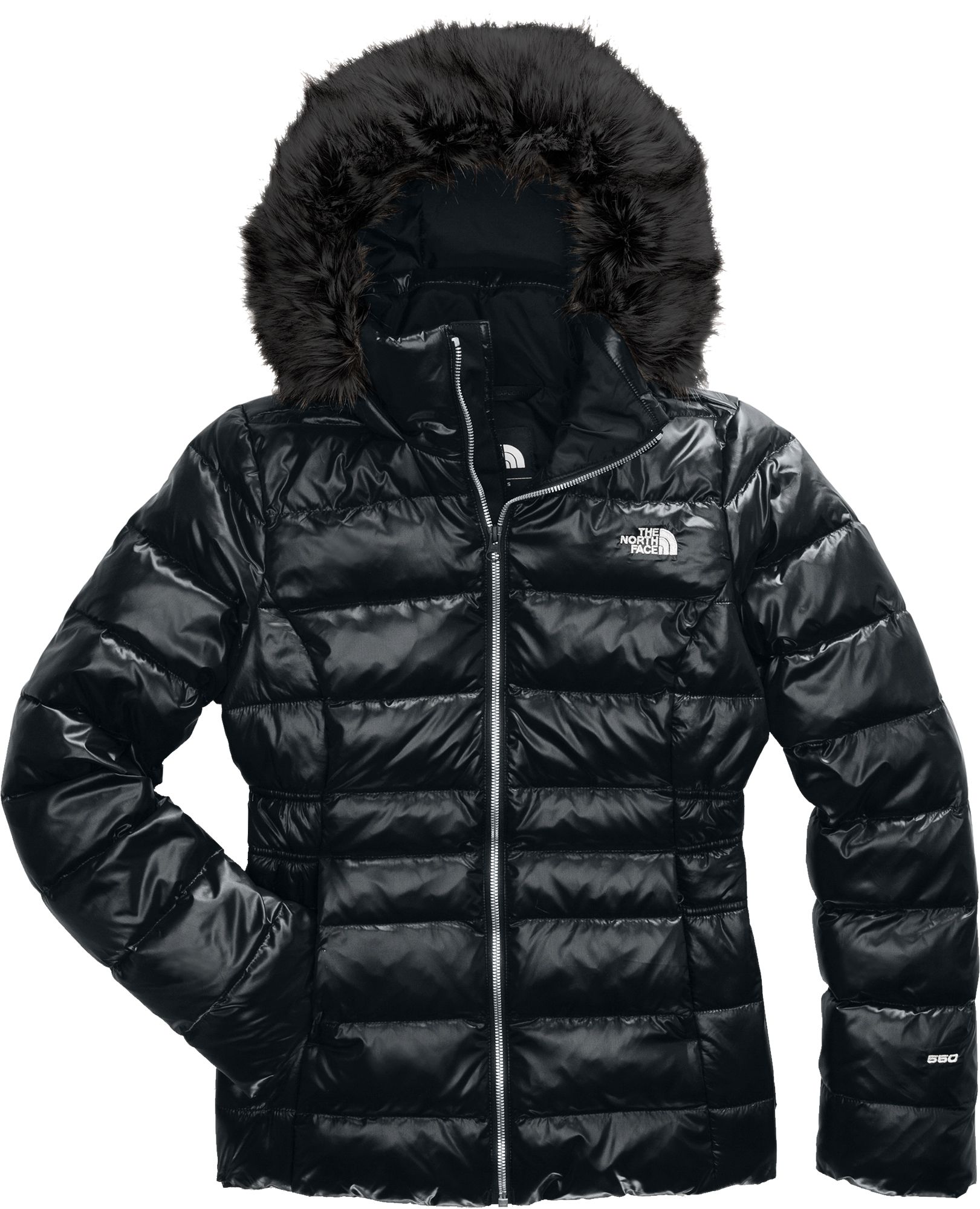 north face gotham 2 womens