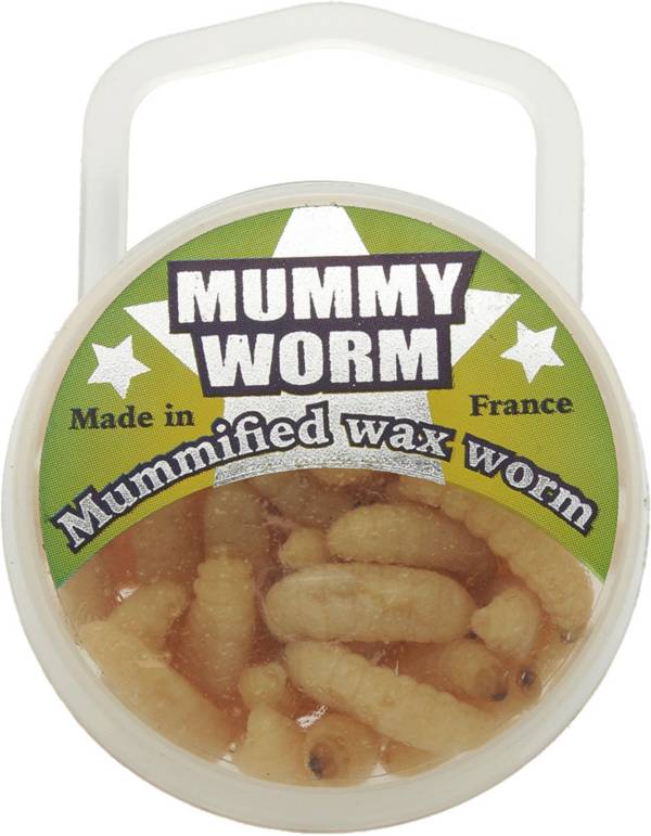 download live wax worms for sale