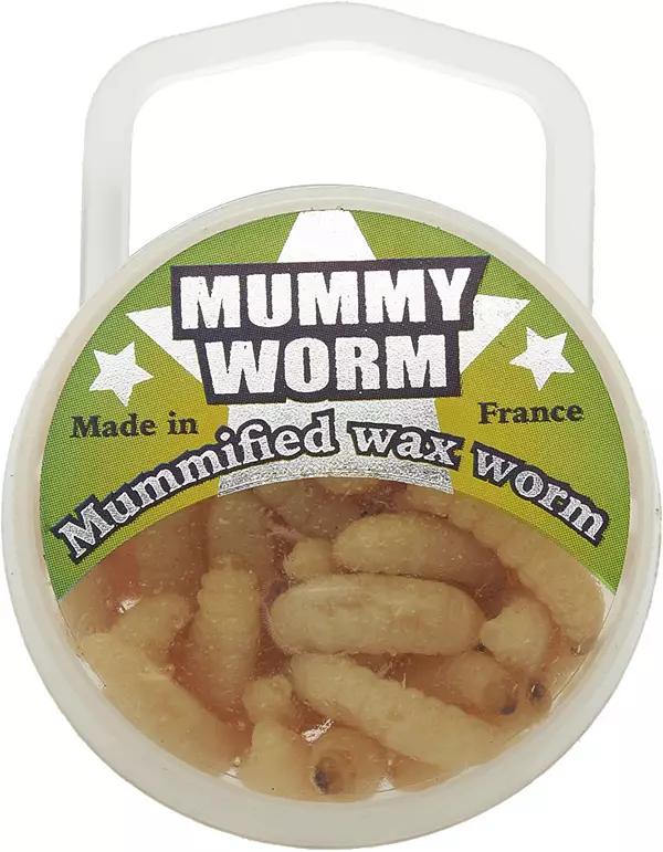 Eurotackle Mummy Worm Mummified Wax Worm