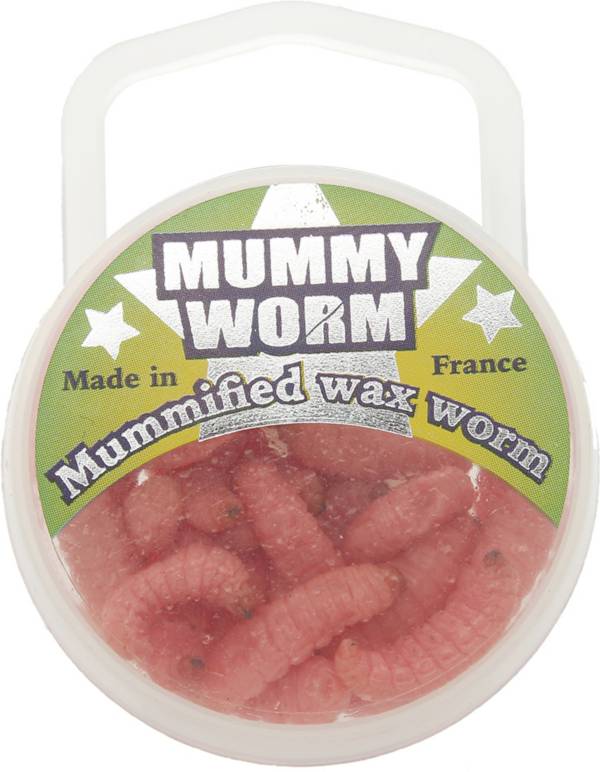 download wax worms near me
